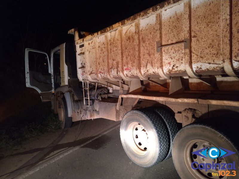 Polícia Militar Rodoviária atendeu atropelamento de bovino em Lacerdópolis