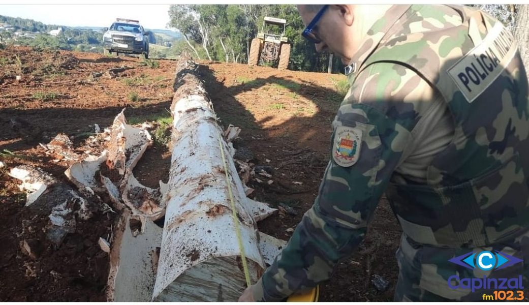 Polícia Militar Ambiental flagra desmatamento nos municípios de Vargem e Brunópolis