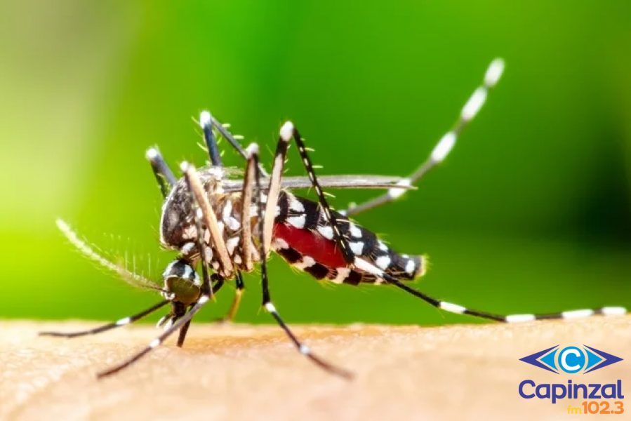 Número de casos da dengue sobe para 33 em Capinzal