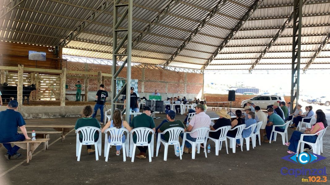 8º Leilão de Gado Geral em Zortéa movimenta mais de R$ 880 mil