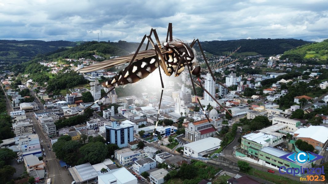 Capinzal atinge 257 casos da Dengue