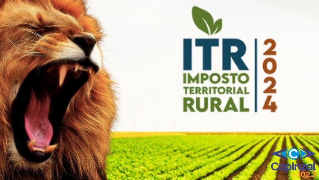 Prazo para enviar a declaração do Imposto Territorial Rural (ITR) de 2024 termina nesta segunda-feira