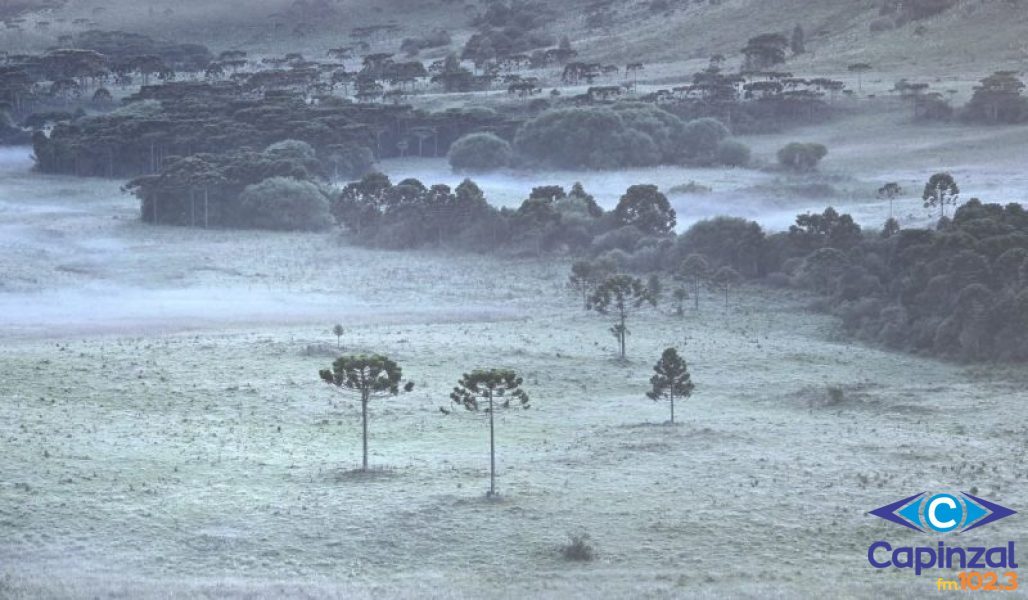 Serra catarinense registra geada e temperaturas de 3°C em pleno verão