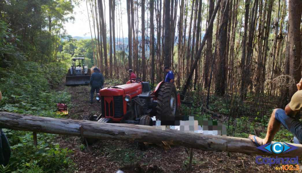 Idoso morre após ser atingido por árvore no interior de Ibiam