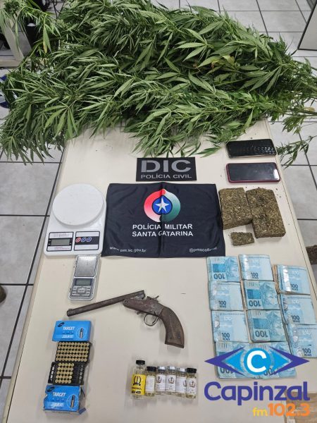 Operação policial apreende pés de maconha, arma e munições na região