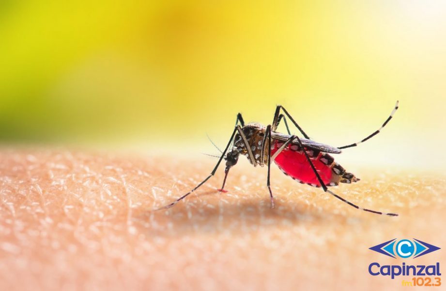 Lacerdópolis realiza fumacê para combate ao mosquito da dengue nesta sexta-feira