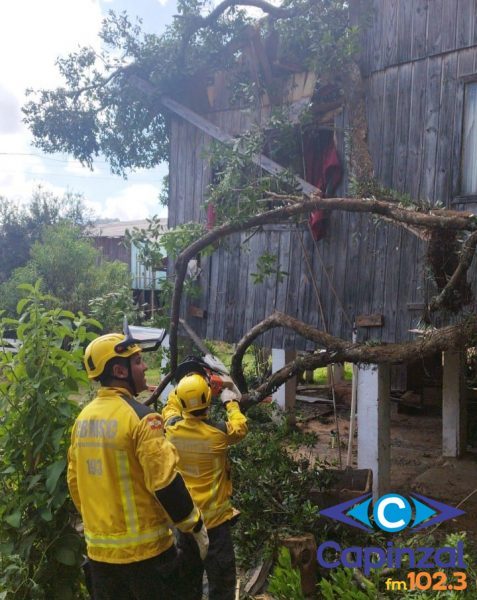 Árvore de grande porte cai sobre residência em Vargem e mobiliza Corpo de Bombeiros