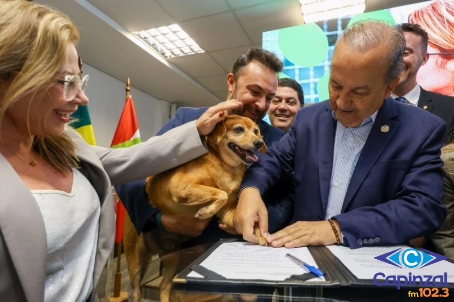 Governador Jorginho Mello lança maior programa estadual de castração animal do país
