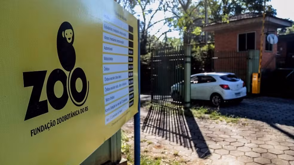 Gripe aviária atinge zoológico no RS e mata mais de 90 aves silvestres